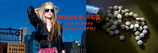 ПСИЛОЦИБИНОВЫЕ ГРИБЫ Аркадак