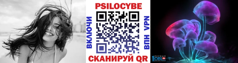 мориарти наркотические препараты  купить наркотик  Приозерск  Галлюциногенные грибы Magic Shrooms  мега как войти 